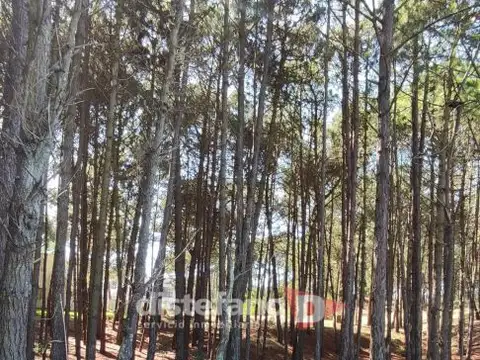 Terreno en Venta en Pinamar, USD 200.000