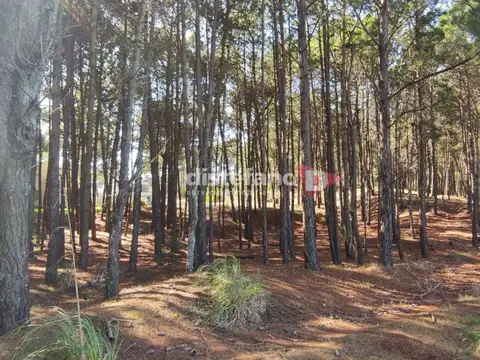 Terreno en Venta de 2006,0 m2