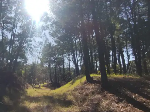 Terreno en Venta de 2006,0 m2
