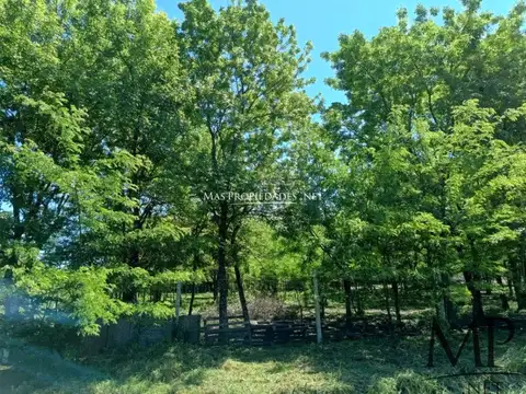 Terreno en Venta 90  mts Fondo