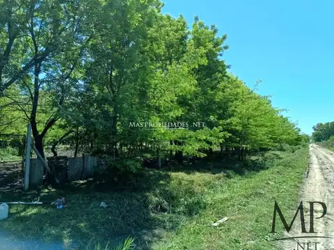 Venta Terreno / Lote en Barrio El Ministro San Vicente 100