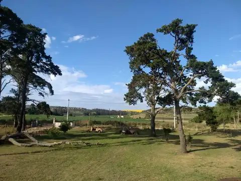 CAMPO EN VENTA PROVINCIA DE BUENOS AIRES RUTA 226