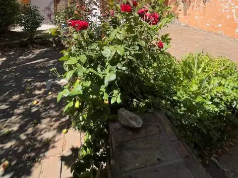 VENTA CASA SAN MARTÍN DE LOS ANDES.