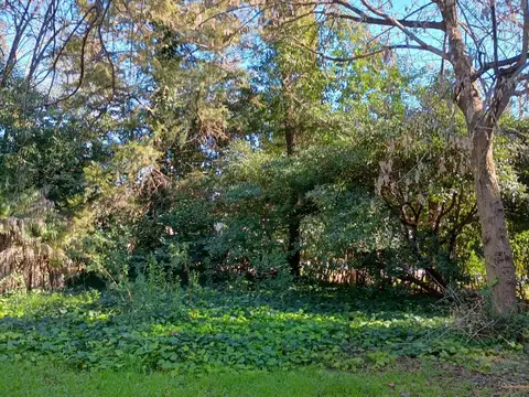 Alquiler Casa en Bonanza Pilar