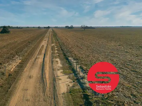 Campo venta  Santiago del Estero 1350 has.