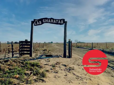 Campo venta  Santiago del Estero 1350 has.