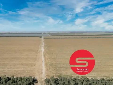 Campo venta  Santiago del Estero 1350 has.