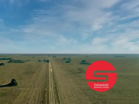 Campo venta  Santiago del Estero 1350 has.