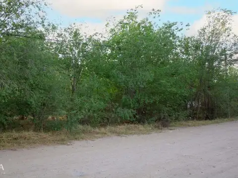 Terreno en Venta en Centro, USD 35.000