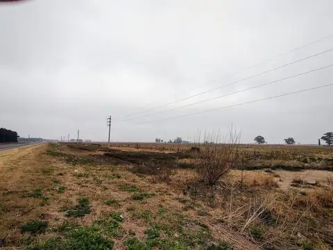 Venta fracción de campo en Piñero