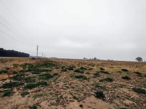 Venta fracción de campo en Piñero