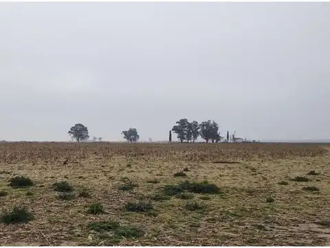 Venta fracción de campo en Piñero