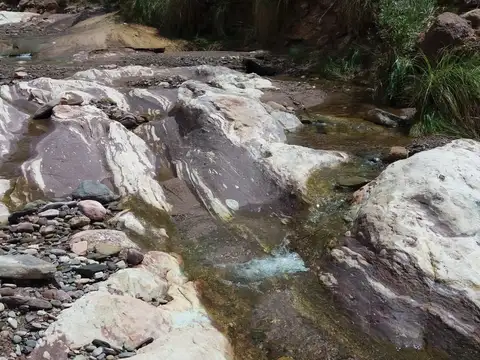 Campo agricola , ganadero,minero  - Patquia la Rioja