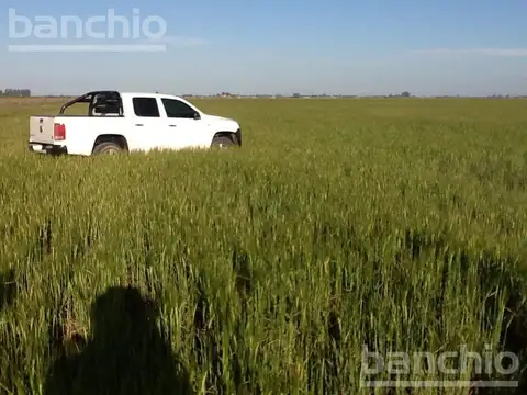 150 ha Ganaderas San Genaro