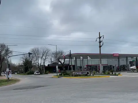 31 hectáreas frente a la entrada de Domselaar