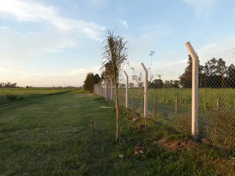 Terreno en Venta en Funes, USD 14.400