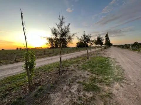 Campo en Venta con Alambrado