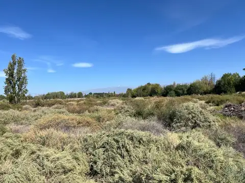 Terreno en Venta de 19000,0 m2