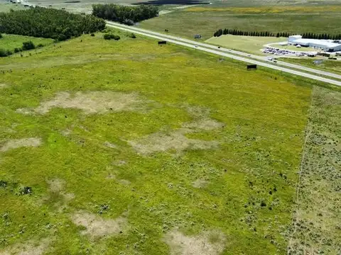 Brandsen - 71 ha sobre Autovia 2