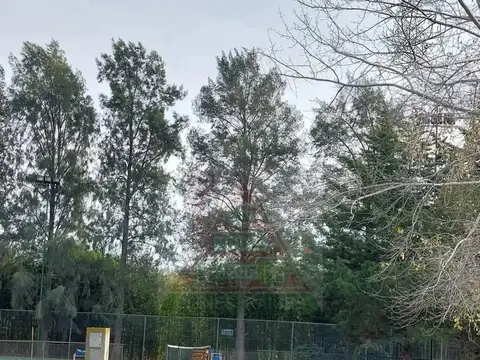 Terreno en Venta de 1950,0 m2