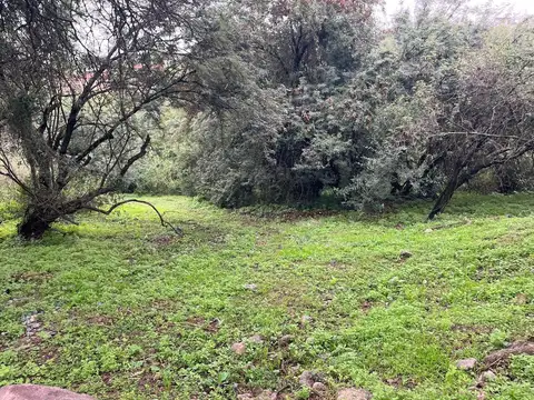 Pampa de los Guanacos