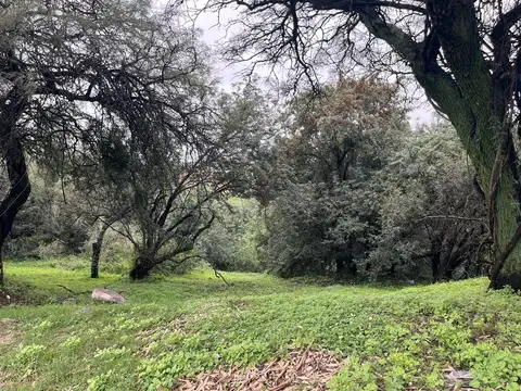 Terreno en Venta en Cinco Lomas, USD 109.000