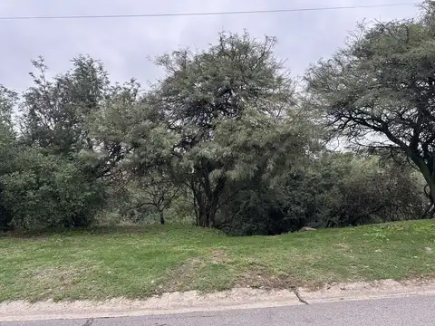 Pampa de los Guanacos