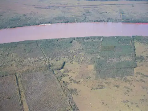 VENTA CAMPO 125 HA RÍO SAUCE 1.300 m. DE COSTA