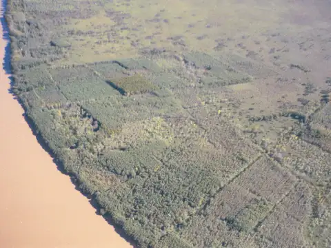 VENTA CAMPO 125 HA RÍO SAUCE 1.300 m. DE COSTA