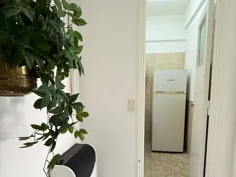 Departamento - Microcentro