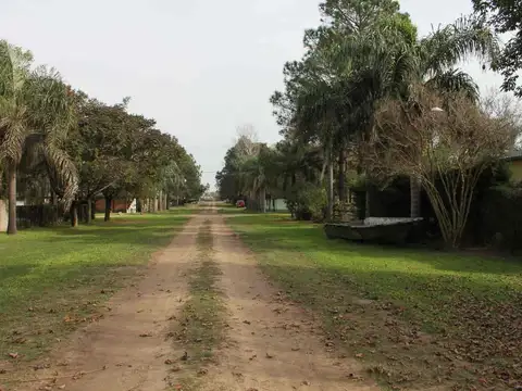 Los Naranjos 200