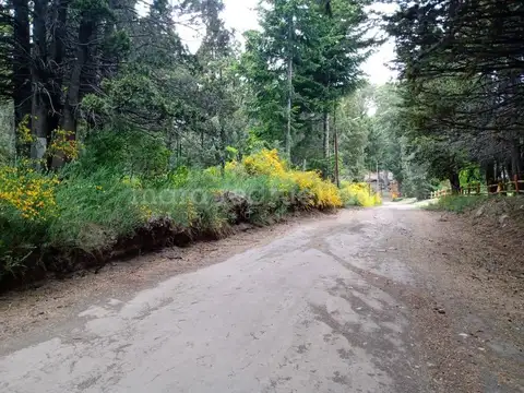 Terreno en Venta en Villa Traful, USD 275.000