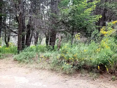 Terreno en Venta de 5000,0 m2