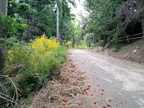 Terreno en Venta de 5000,0 m2