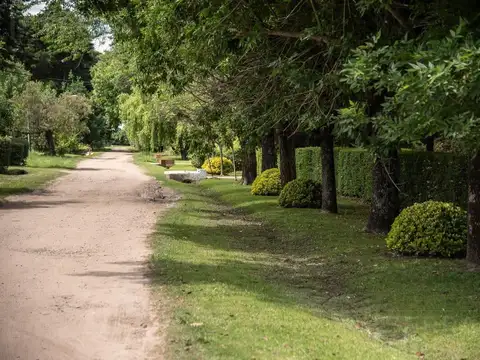 Venta Lote Terreno Barrio Parque Exaltación