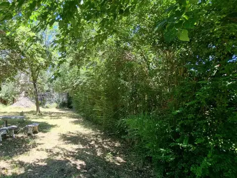 Los Gladiolos, entre Las Azucenas y Los Malvones. al 800