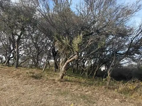 Terreno en Venta de 850,0 m2