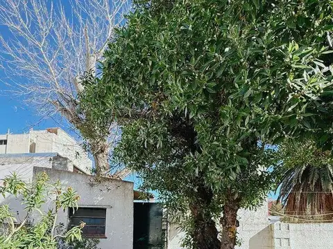 majluf 300