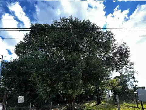 OPORTUNIDAD! LOTE VILLA CATALINA BARRIO CERRADO 400M2