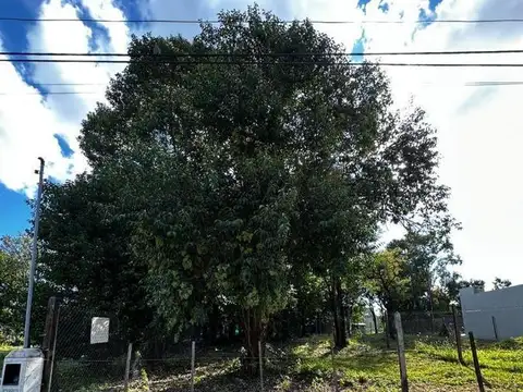 Terreno en Venta de 400,0 m2