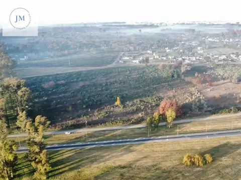 Campo - Lujan