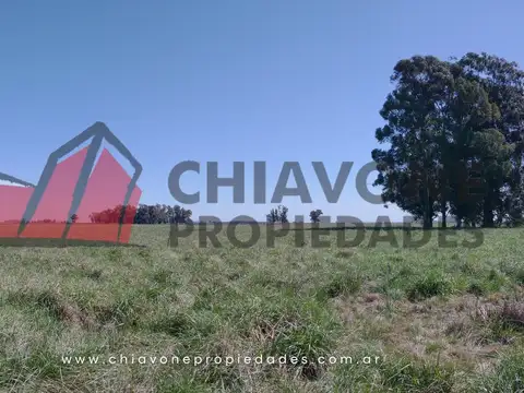 Campo en Venta de 24  ha