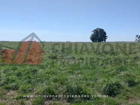 24 ha campo en venta - Navarro. L30011