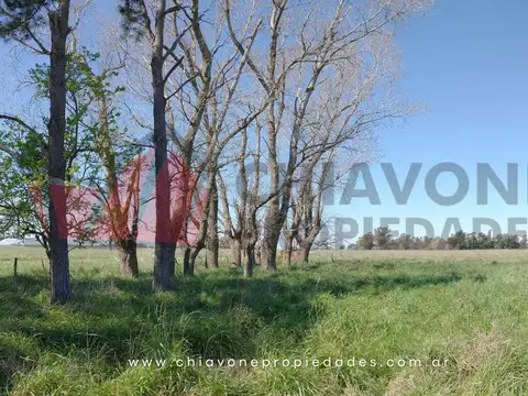 Campo en Venta Ganadero