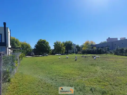 Terreno en Venta 40  mts Fondo