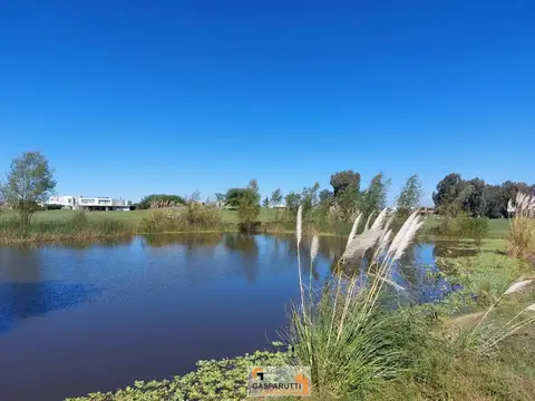 Terreno en Venta de 824,0 m2
