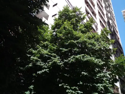 La Pampa 1800, Piso 7