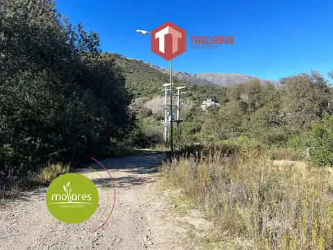 Los Mollares - LOTE 706