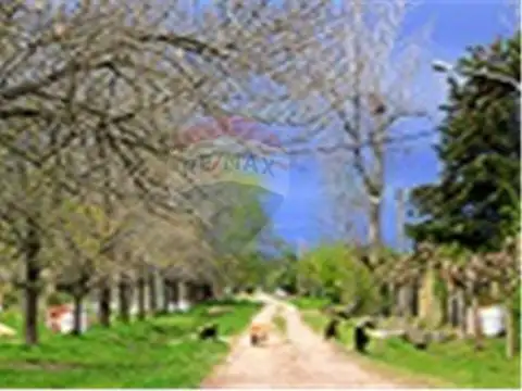 Terreno en Venta de 2437,0 m2