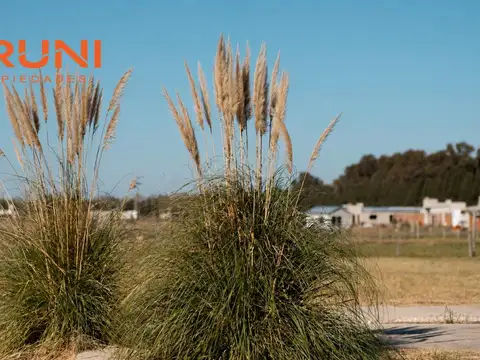 Terreno en Venta de 1550,0 m2